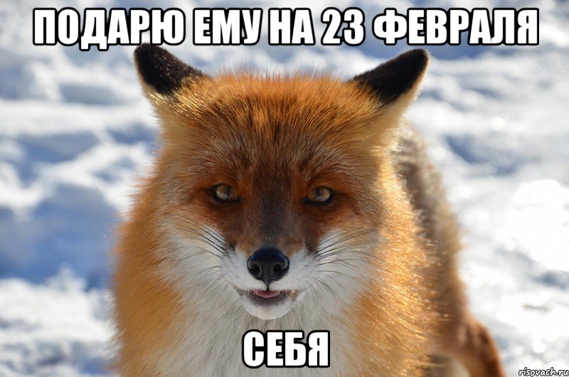подарю ему на 23 февраля себя