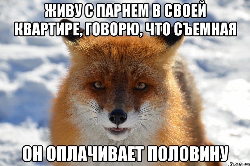живу с парнем в своей квартире, говорю, что съемная он оплачивает половину
