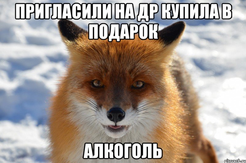 пригласили на др купила в подарок алкоголь