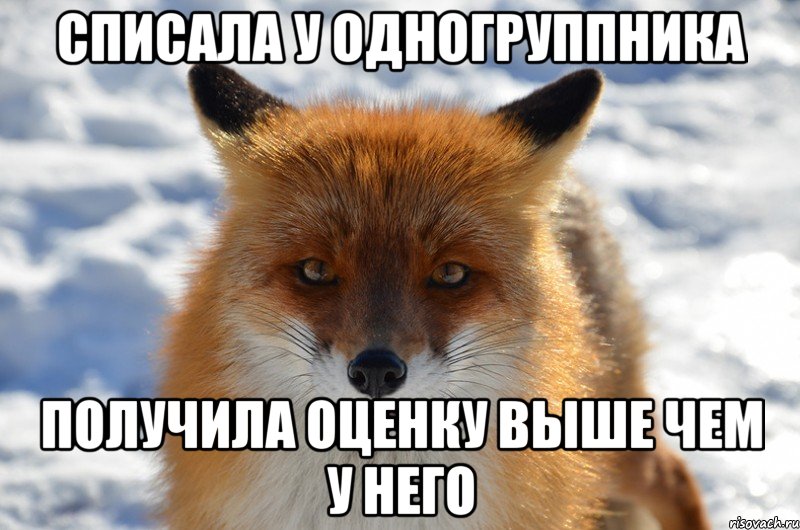 списала у одногруппника получила оценку выше чем у него