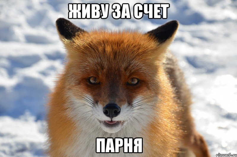 живу за счет парня