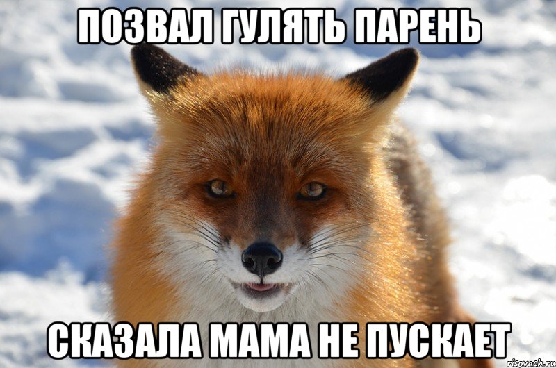позвал гулять парень сказала мама не пускает