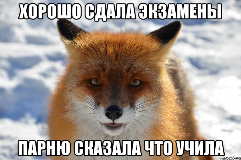 хорошо сдала экзамены парню сказала что учила