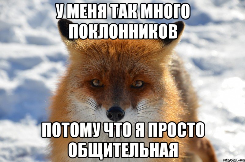 у меня так много поклонников потому что я просто общительная