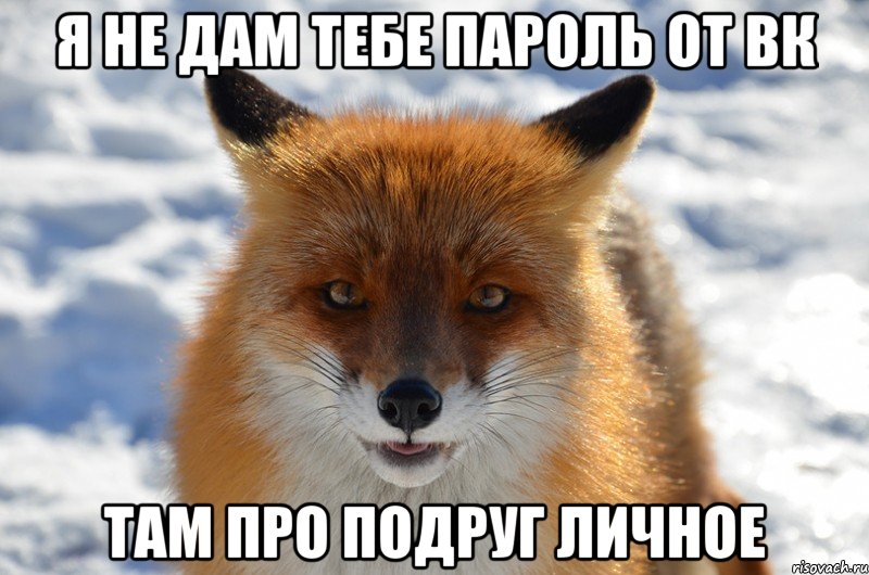 я не дам тебе пароль от вк там про подруг личное