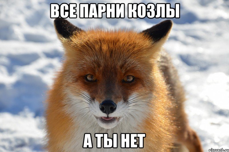 все парни козлы а ты нет