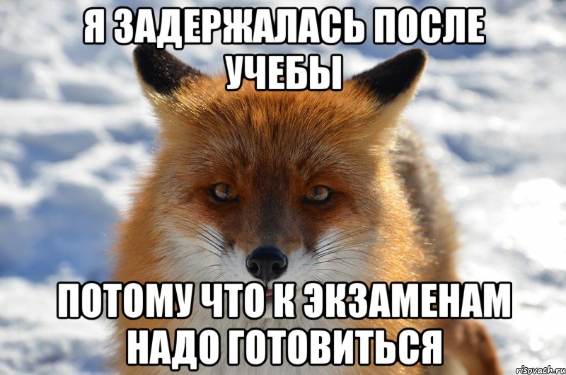 я задержалась после учебы потому что к экзаменам надо готовиться