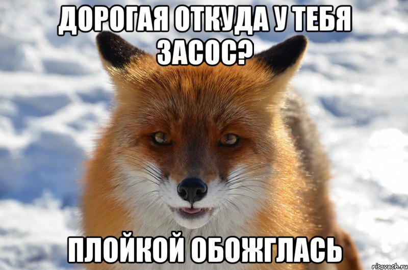дорогая откуда у тебя засос? плойкой обожглась