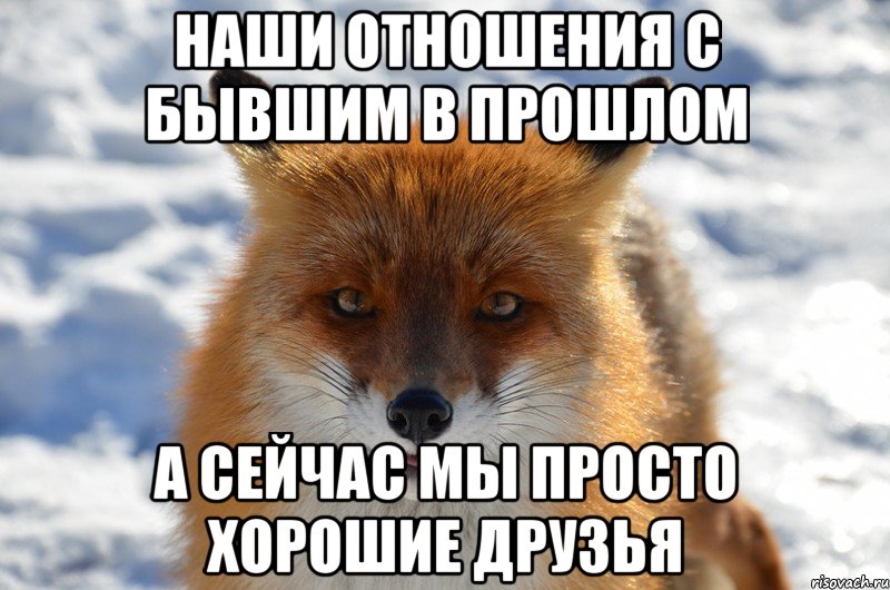 наши отношения с бывшим в прошлом а сейчас мы просто хорошие друзья