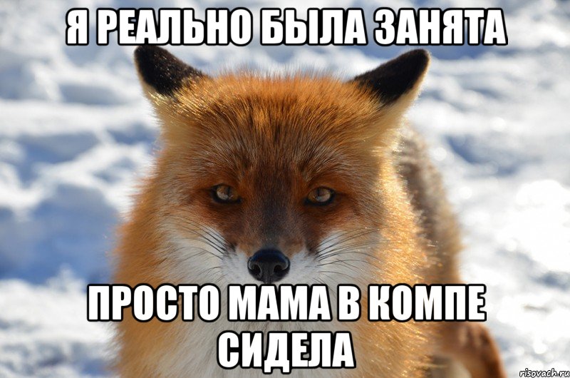 я реально была занята просто мама в компе сидела