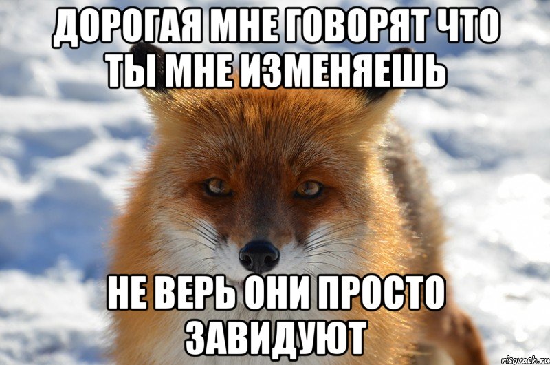 дорогая мне говорят что ты мне изменяешь не верь они просто завидуют