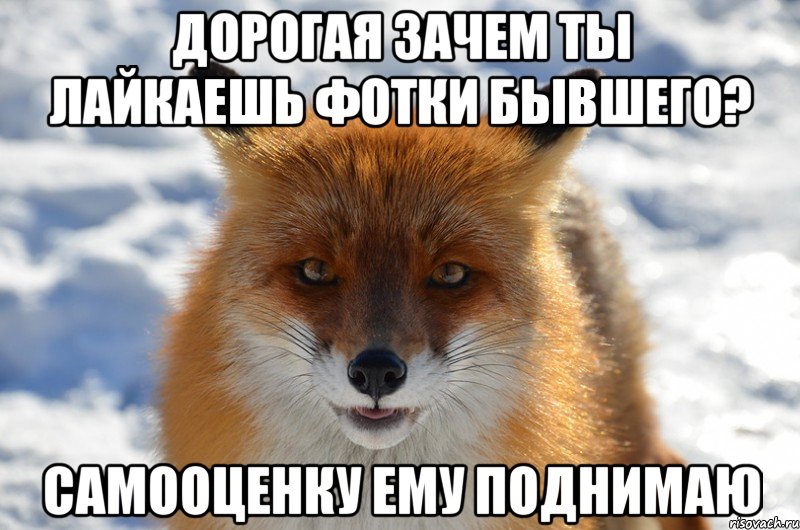 Дорогая зачем ты лайкаешь фотки бывшего? самооценку ему поднимаю