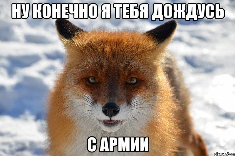 Ну конечно я тебя дождусь с армии