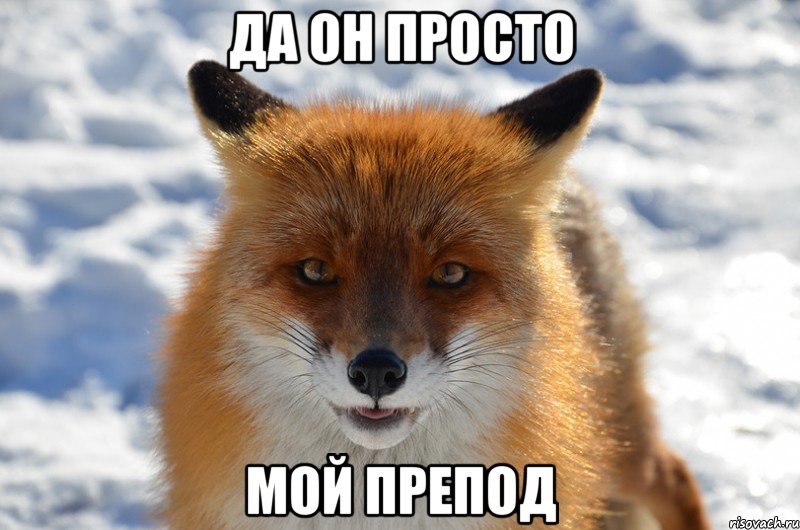 да он просто мой препод