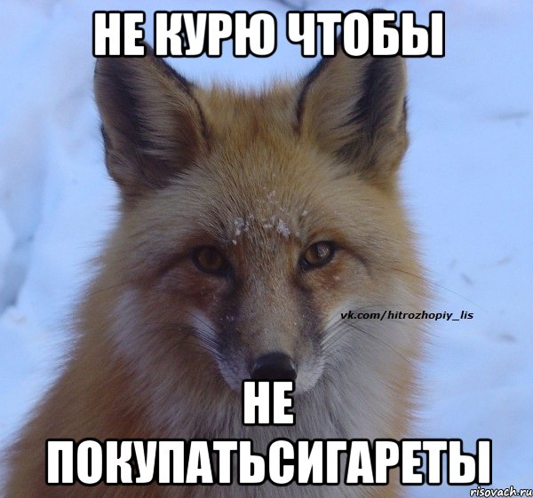 не курю чтобы не покупатьсигареты