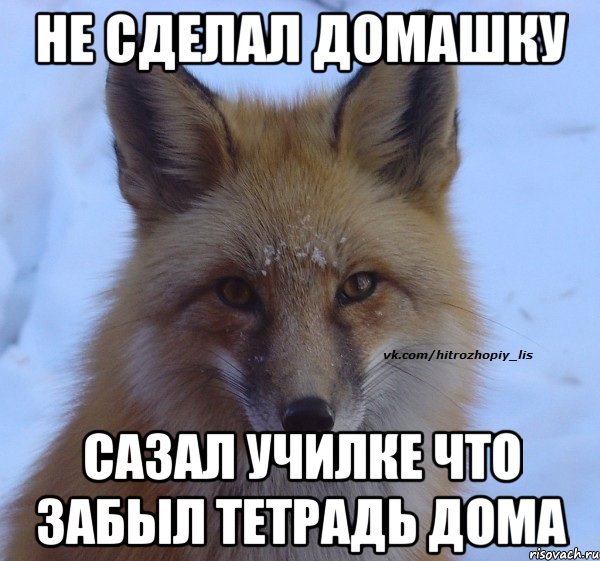 не сделал домашку сазал училке что забыл тетрадь дома
