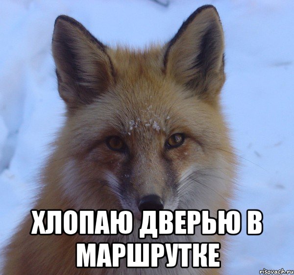  хлопаю дверью в маршрутке