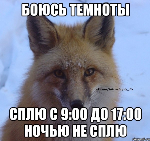 Боюсь темноты сплю с 9:00 до 17:00 ночью не сплю