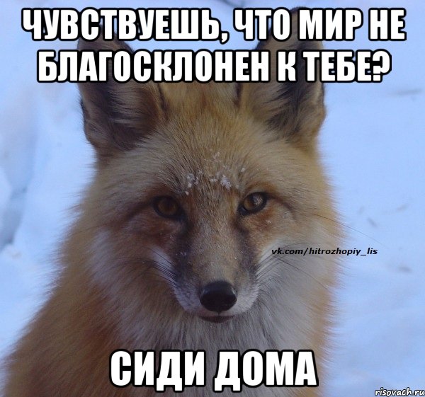Чувствуешь, что МИР не благосклонен к тебе? Сиди дома