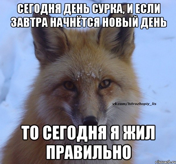 Сегодня день сурка, и если завтра начнётся новый день то сегодня я жил правильно