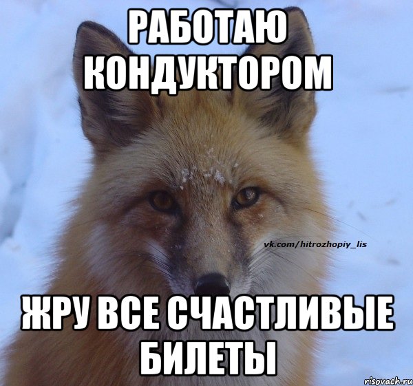 работаю кондуктором жру все счастливые билеты
