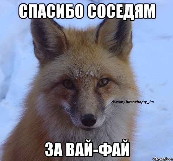 спасибо соседям за вай-фай