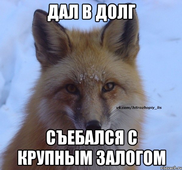 Дал в долг Съебался с крупным залогом