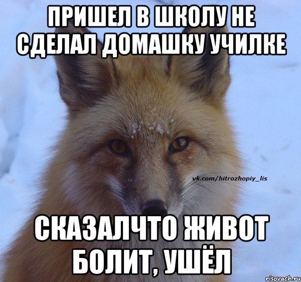 ПРИШЕЛ В ШКОЛУ НЕ СДЕЛАЛ ДОМАШКУ УЧИЛКЕ СКАЗАЛЧТО ЖИВОТ БОЛИТ, УШЁЛ