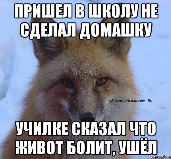 ПРИШЕЛ В ШКОЛУ НЕ СДЕЛАЛ ДОМАШКУ УЧИЛКЕ СКАЗАЛ ЧТО ЖИВОТ БОЛИТ, УШЁЛ