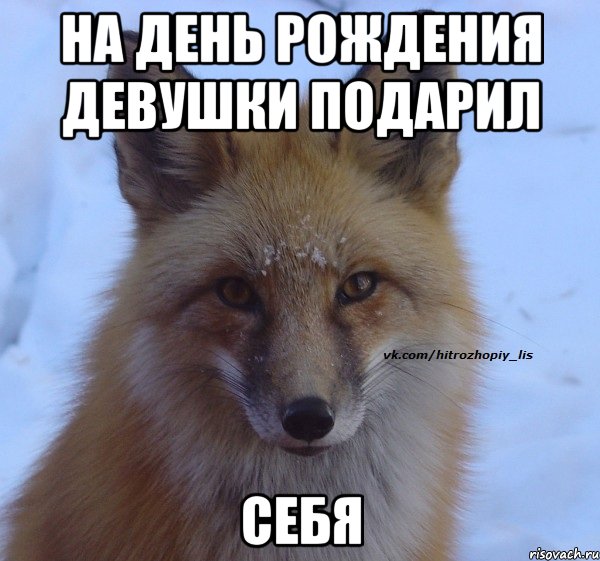 На день рождения девушки подарил Себя
