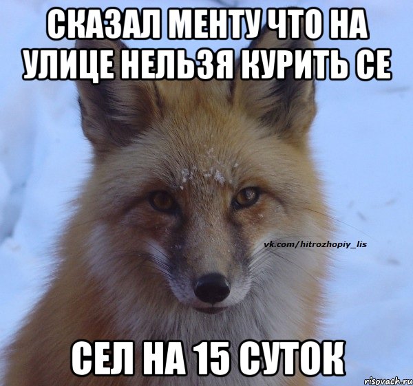 сказал менту что на улице нельзя курить се сел на 15 суток