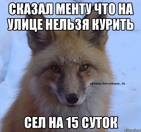 сказал менту что на улице нельзя курить сел на 15 суток