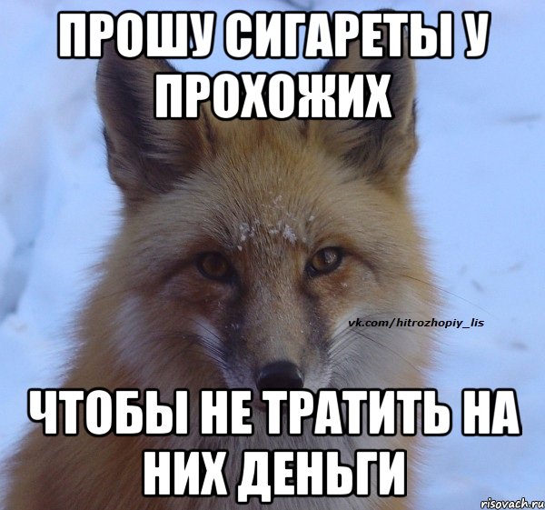 Прошу сигареты у прохожих чтобы не тратить на них деньги