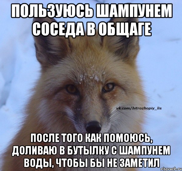 Пользуюсь шампунем соседа в общаге после того как помоюсь, доливаю в бутылку с шампунем воды, чтобы бы не заметил