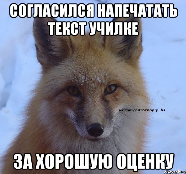 согласился напечатать текст училке за хорошую оценку