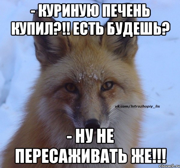 - Куриную печень купил?!! Есть будешь? - Ну не пересаживать же!!!