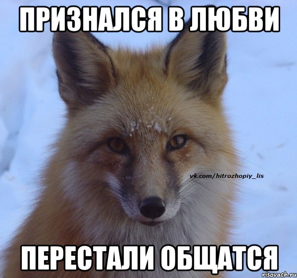 Признался в любви перестали общатся