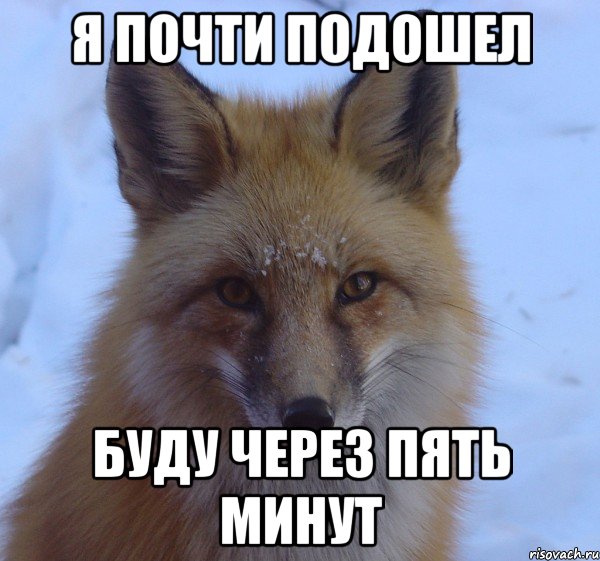 Я почти подошел буду через пять минут