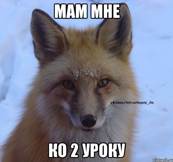 Мам мне Ко 2 уроку