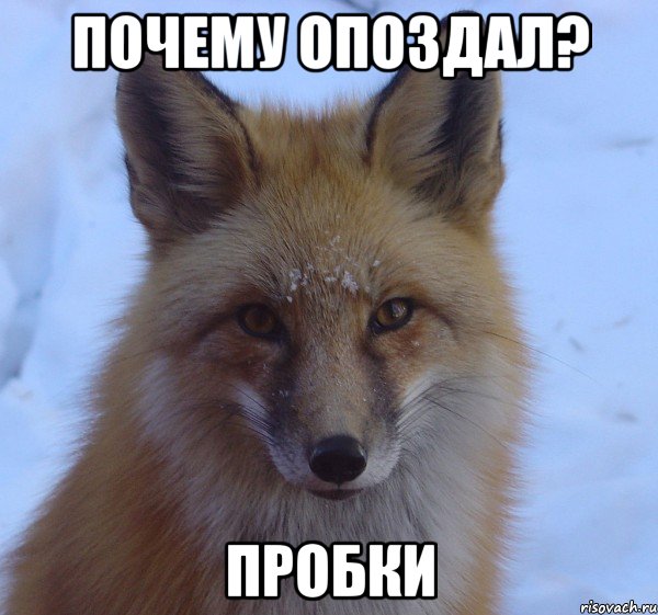 почему опоздал? пробки