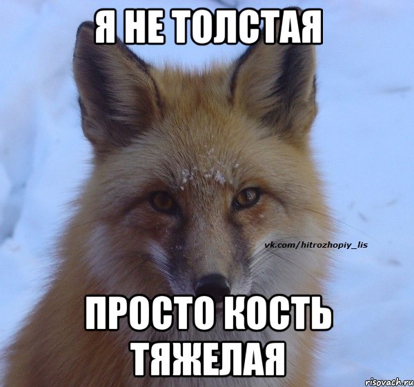 я не толстая просто кость тяжелая