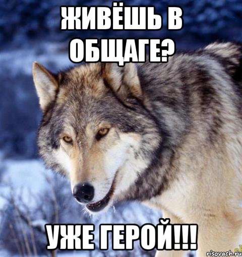 Живёшь в общаге? Уже герой!!!