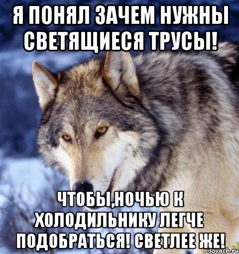 Я понял зачем нужны светящиеся трусы! Чтобы,ночью к холодильнику легче подобраться! Светлее же!
