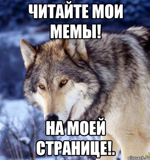 Читайте мои мемы! На моей странице!.