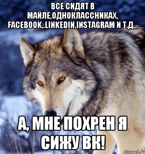 Все сидят в майле,одноклассниках, facebook,.linkedin,instagram и т.д... А, мне похрен я сижу ВК!