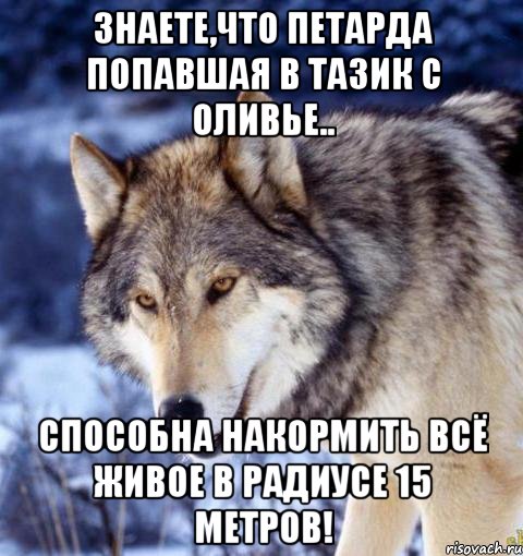 Знаете,что петарда попавшая в тазик с оливье.. способна накормить всё живое в радиусе 15 метров!