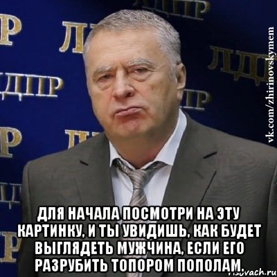  Для начала посмотри на эту картинку, и ты увидишь, как будет выглядеть мужчина, если его разрубить топором пополам., Мем Хватит это терпеть (Жириновский)