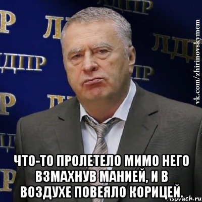  Что-то пролетело мимо него взмахнув манией, и в воздухе повеяло корицей., Мем Хватит это терпеть (Жириновский)