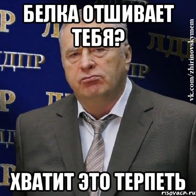 БЕЛКА ОТШИВАЕТ ТЕБЯ? ХВАТИТ ЭТО ТЕРПЕТЬ, Мем Хватит это терпеть (Жириновский)