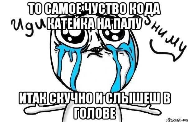 то самое чуство кода катейка на палу итак скучно и слышеш в голове, Мем Иди обниму